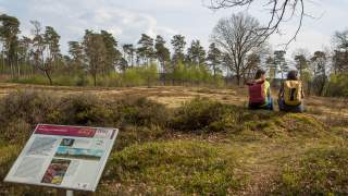 Durch das Naturschutzgebiet Grasmoor im Osnabrücker Land führt ein Terra Track.