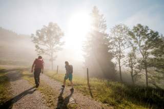 Zwei Menschen wandern auf Forstweg in der Sonne