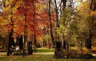 Friedhof im Herbst mit bunten Bäumen
