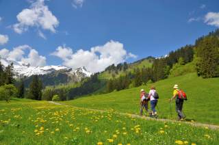 Drei ältere Wanderer wandern in einer Blumenwiese. Im Hintergrund sieht man verschneite Berge