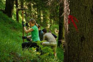 Junge Menschen arbeiten mit Spitzhacken im Wald. Sie setzen junge Bäume.