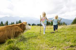 Links im Bild ist eine liegende Kuh zu sehen, rechts gehen zwei kleine Kinder Hand in Hand barfuß über die Wiese.