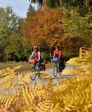 Zwei Menschen fahren Rad auf Weg zwischen herbstlich gefärbten Bäumen
