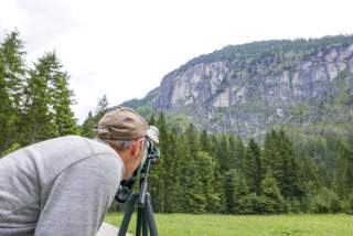 Steinadler beobachten in den Ammergauer Alpen