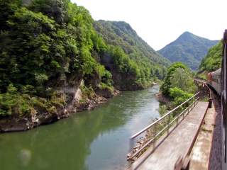 Ein Zug fährt an einem sommerlich begrünten Fluss entlang. Im Hintergrund Berge.