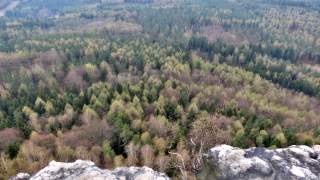 Blick von einem Felsvorsprung auf den schier endlosen Wald.