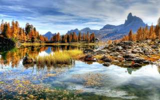 Herbstlich verfärbte Lärchen rund um einen Bergsee. Im Hintergrund steil aufragende Dolomitengipfel.