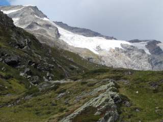 Blick über Bergwiesen zu Hütte vor Gletscher