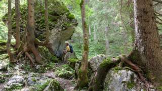 Weg zur Hesshütte - Unberührter Wald begleitet beim Aufstieg über den Unteren Koderboden zur Hesshütte. Foto: Iris Kürschner