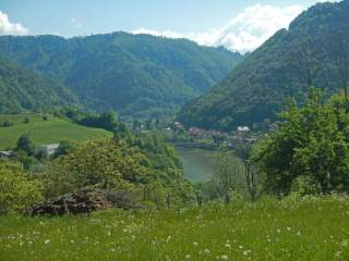 Blick in grünes Flusstal mit bewaldeten Hügeln und kleinem Städtchen
