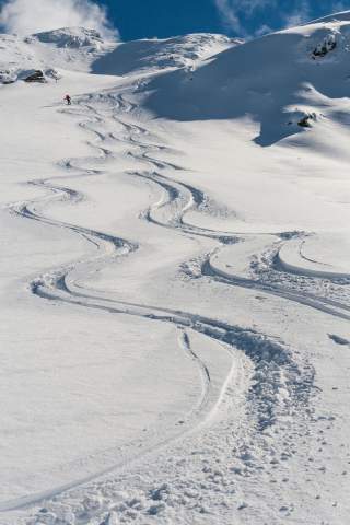 Skifahrer bei Abfahrt im Powder