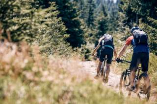 Zwei Menschen auf Mountainbikes fahren Waldpfad runter