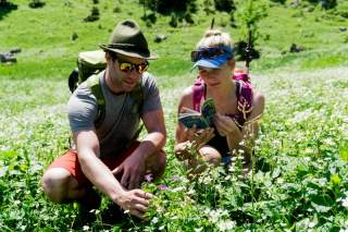 Mann und Frau bestimmen Pflanzen auf Bergwiese