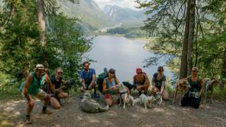 Gruppe von Menschen mit Hunden an Forstweg über See