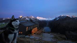 Ein Husky sitzt in der Blauen Stunde, kurz nach Sonnenunter- und kurz vor Mondauf-Gang vor der Olperer Hütte. Im Hintergrund schneebedeckte Berge.