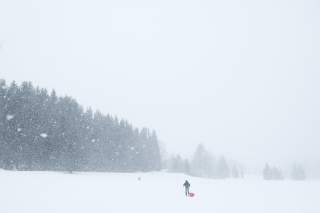 Skiläufer im Schneegestöber