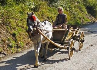 Pferdekutsche auf dem bulgarischen Land
