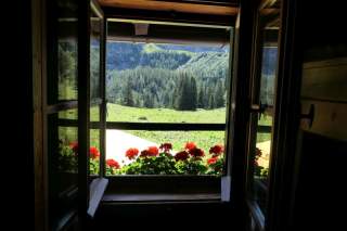 Blick aus dem Fenster auf grüne Wiesen